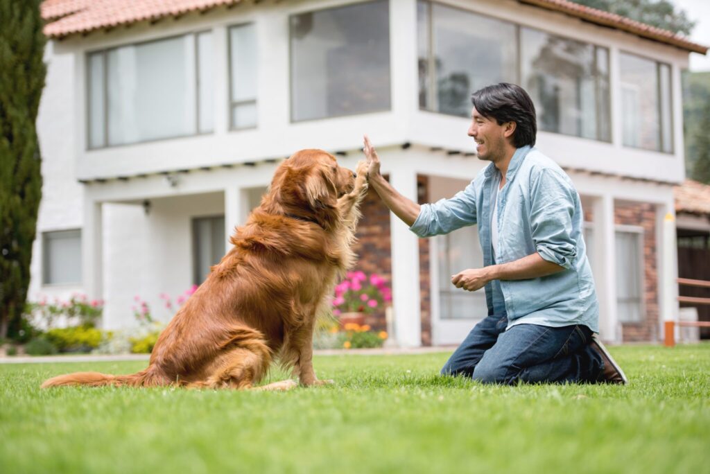 Positive Pet Training
