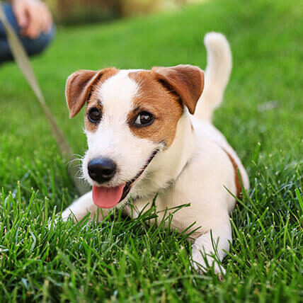 Contact Us In Matthews Nc