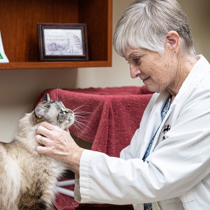 female doctor smiling and petting cat