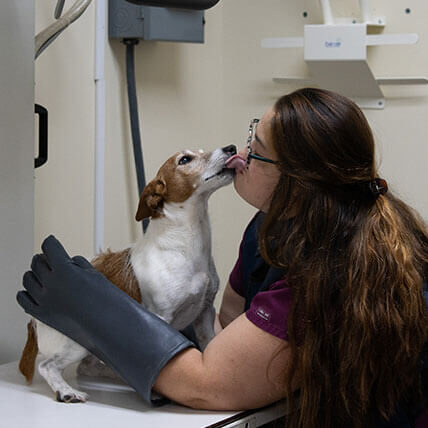 female veterinary technician wearing lead gloves and apron getting kisses from small dog on x-ray table